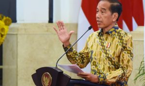 Presiden Jokowi: Peran Besar BPKP Kawal Kesinambungan Pembangunan